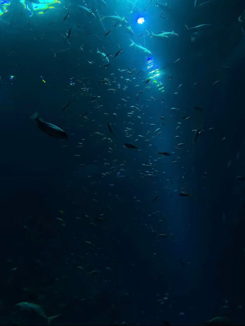 0cf4fd1c650de3142418bc564da0383f_1752660092_1592.jpg